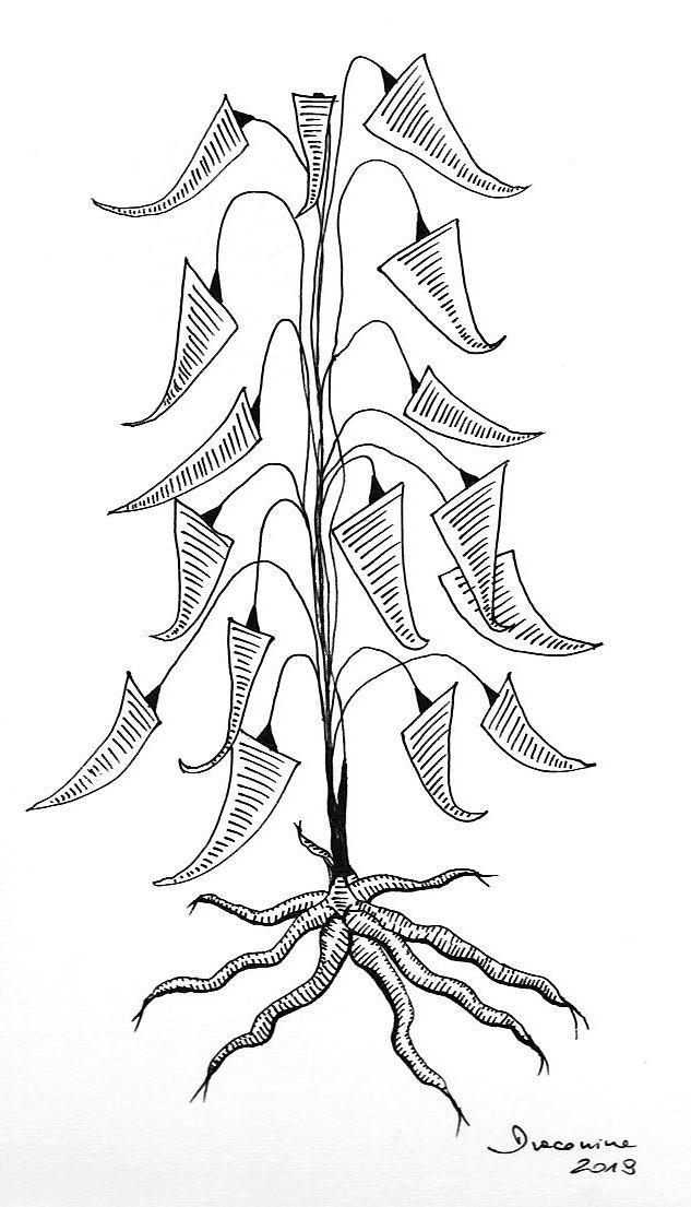Plant Drawing Triangular Triangular plant by Fabrykanina on DeviantArt
