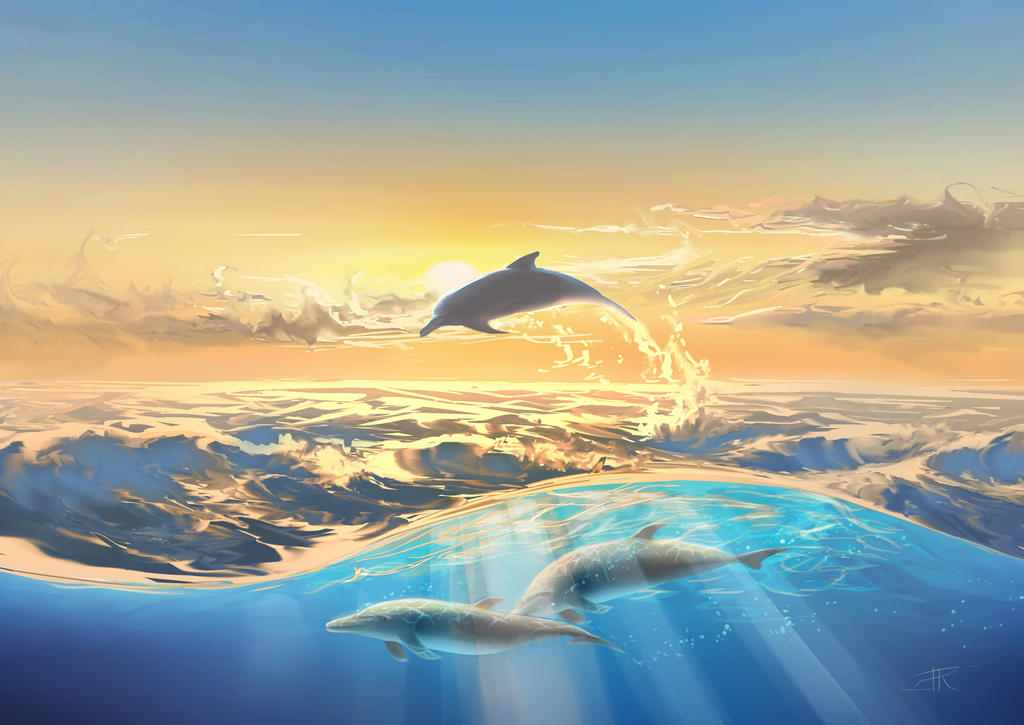 Дельфины уплывают в океан слушать. Небесный Дельфин.