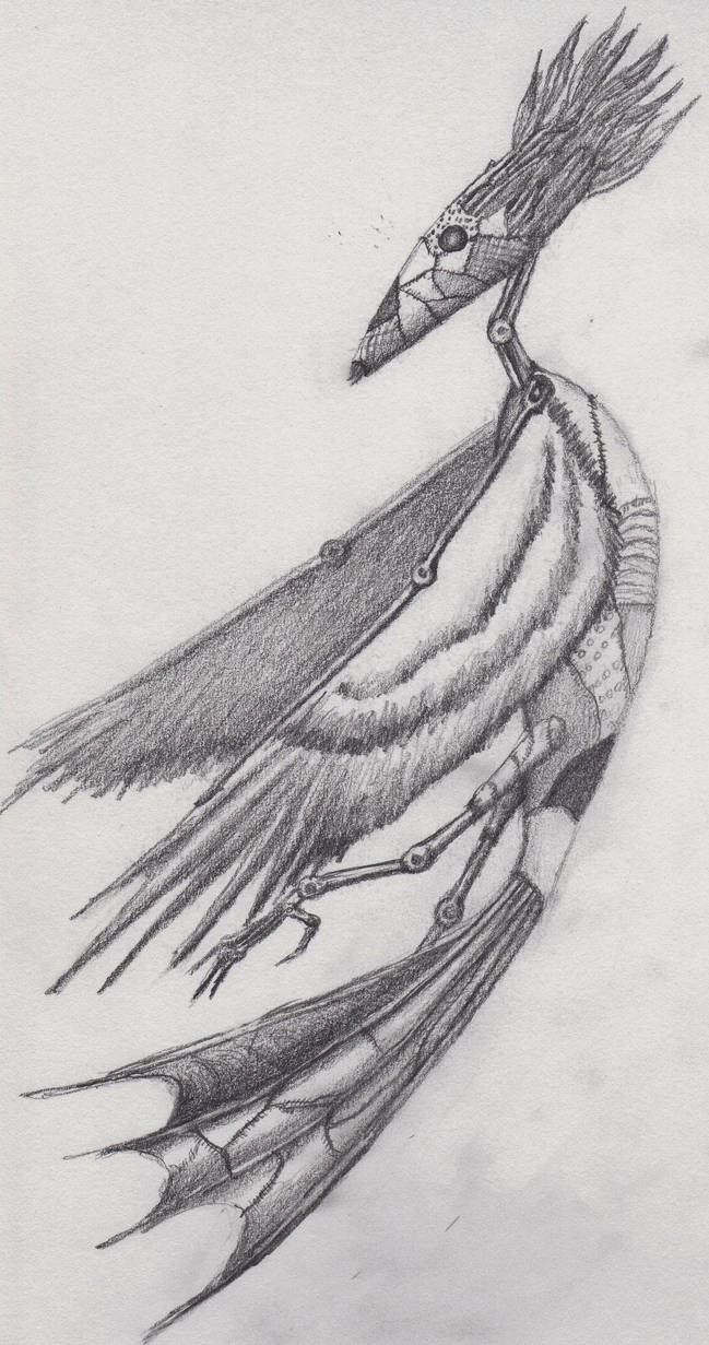 Sonya Insect Sonya by LabelMeInsomniac on DeviantArt
