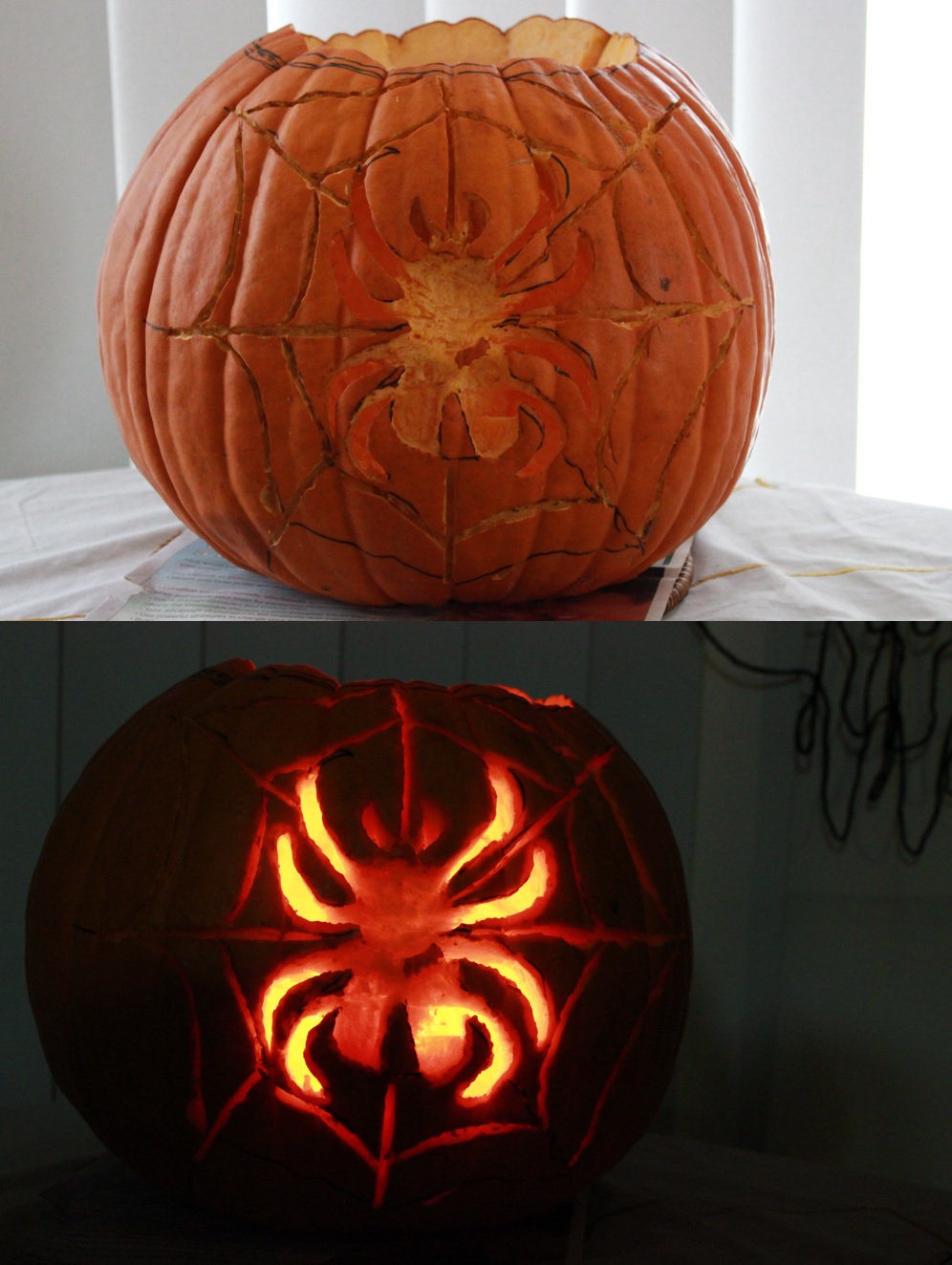 Spider pumpkin