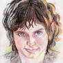 Frodo Baggins - Colour