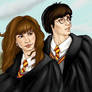 Harry and Hermione Older