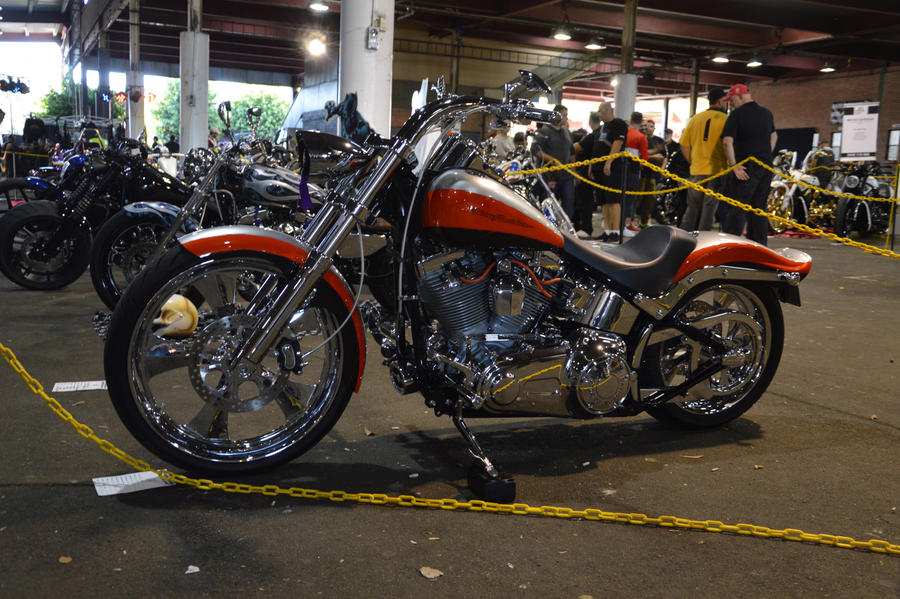 bankstown custom motorcycle show 2017 harley