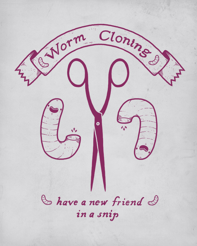 Worm Cloning