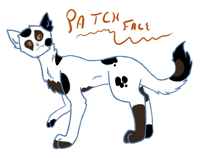 PatchFace by ShortStack757 on DeviantArt