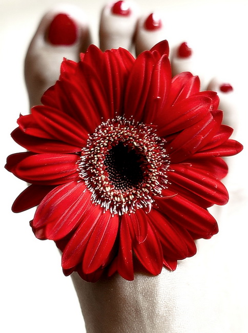 red gerbera and red nails