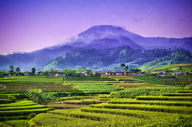 lovely Indonesia