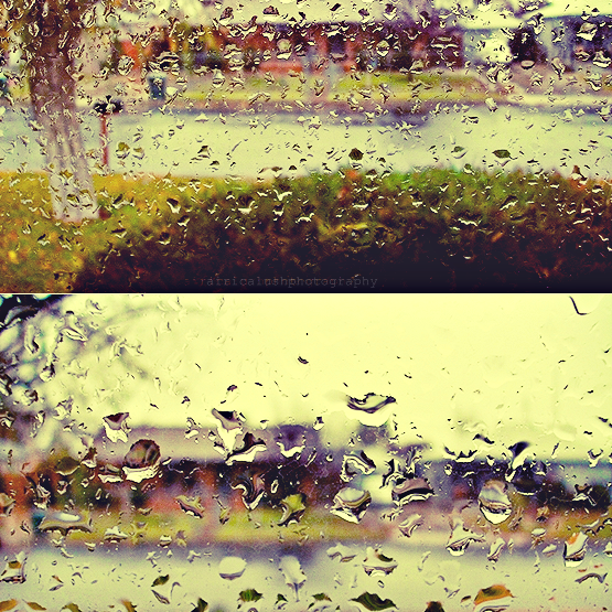 14-365 TheRain's by airicalush