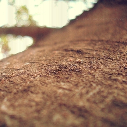 leverageFocus by airicalush