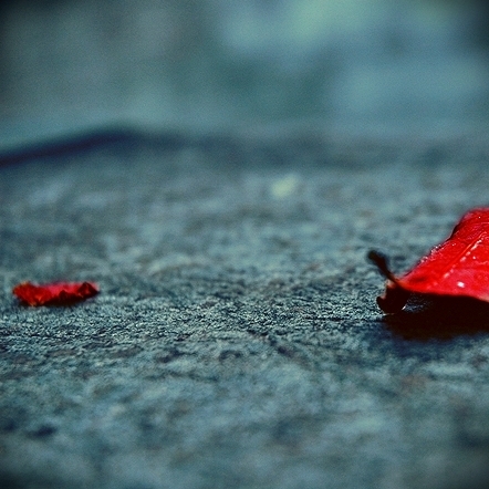 RedButNotAlone..... by airicalush