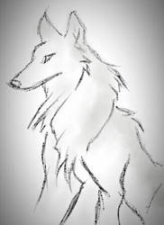 Grey Snow Wolf