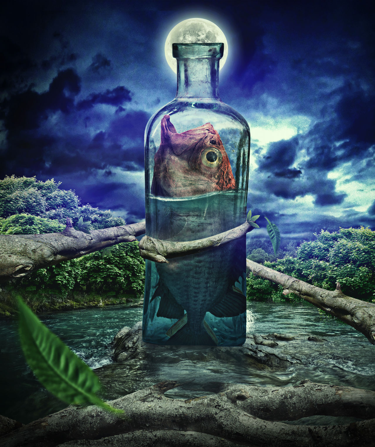 Fish in a bottle