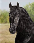 Wout V portrait by Julyart