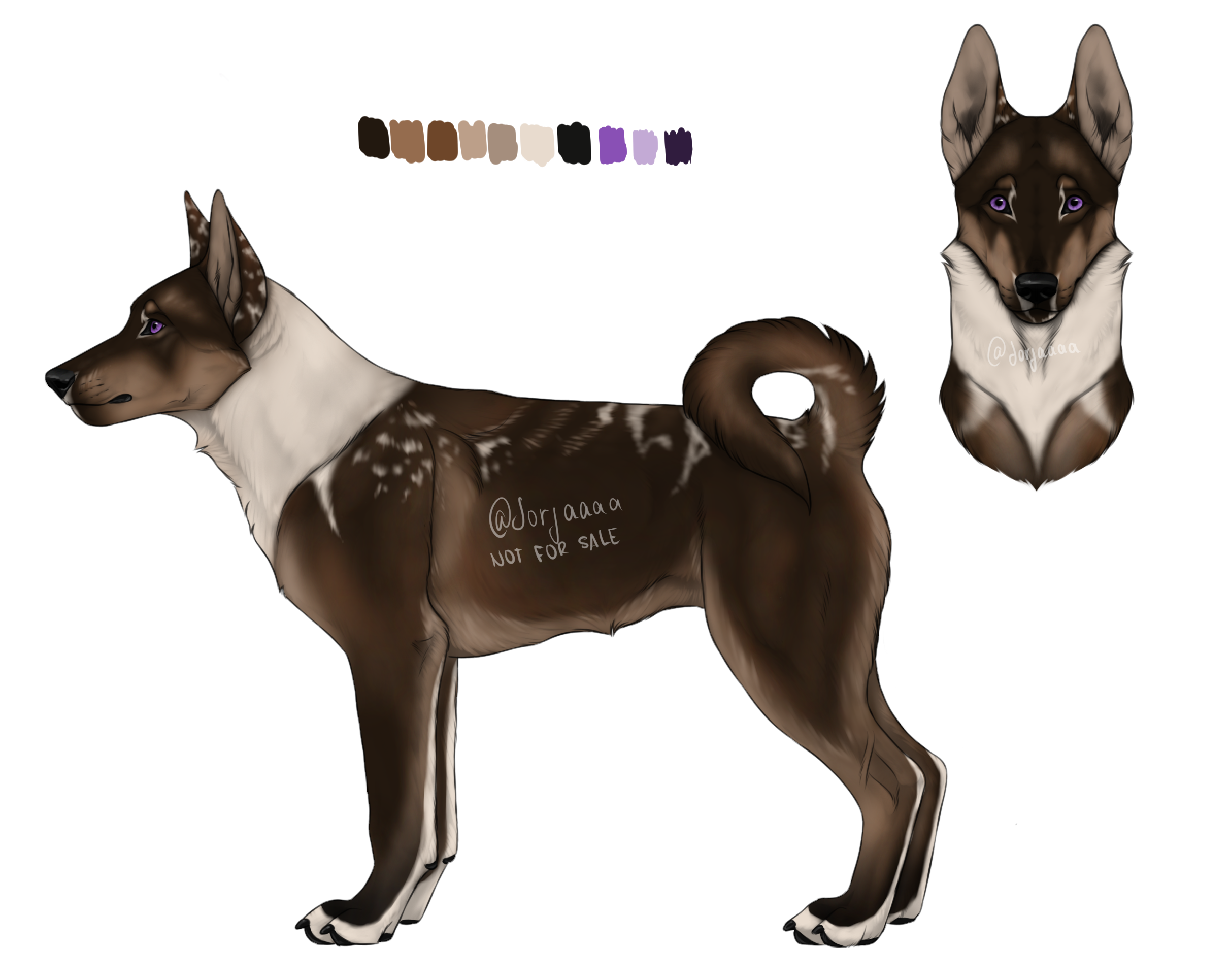 SR Siberian Husky - Empire by Sumac-Ridge on DeviantArt