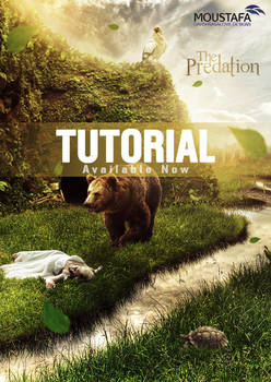 The Predation Tutorial !