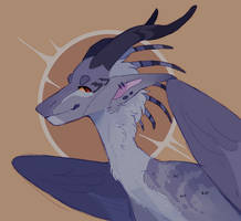 redraw//PA