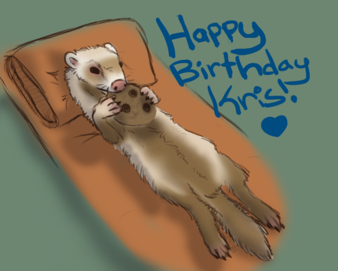 Ferret For Kris Bday