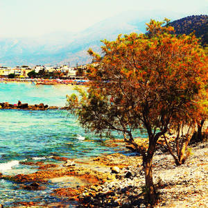 On Cretan shores