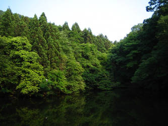 Lake at Fushimi Inari Jinja