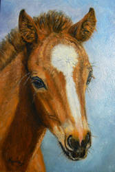 Cute Foal  oil painting