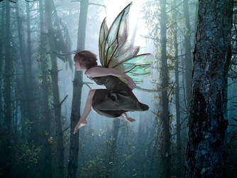 First - Fairy