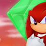 Knuckles: The guardian
