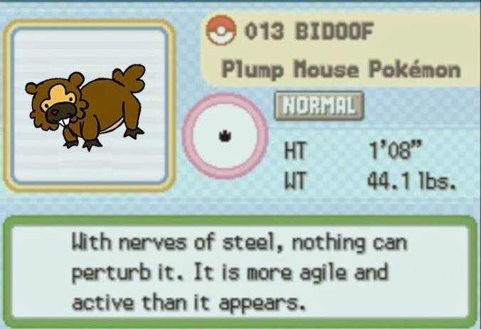 Bidoof Pokedex