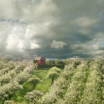 La Primavera by Floriandra