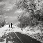 Frozen road by Floriandra