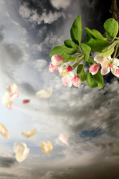 Weather Wind Spring Deviantart spring wind by Floriandra on DeviantArt