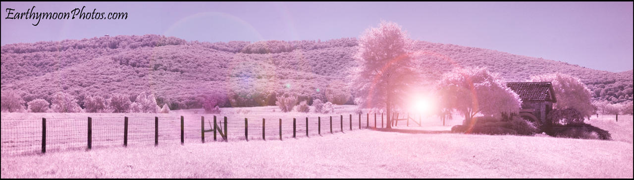 IR Panorama of Jone's Farm 2