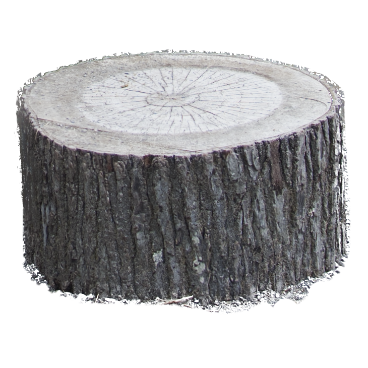 Stock PNG Tree Stump