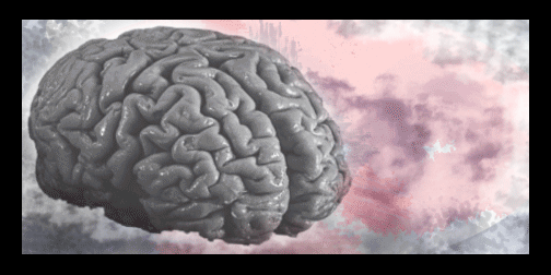 My Big Brain GIF by Earthymoon on DeviantArt