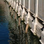 Venezia - Refelections