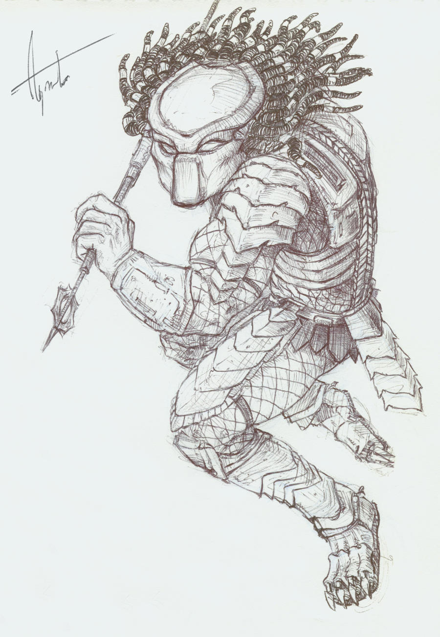 Predation Drawinf Predator Sketch by nickagneta on DeviantArt
