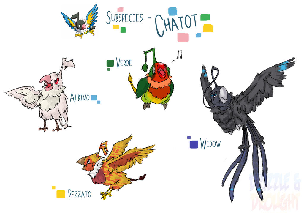 Basic Chatot Chatot Subspecies by LucarioBananaSplit on DeviantArt
