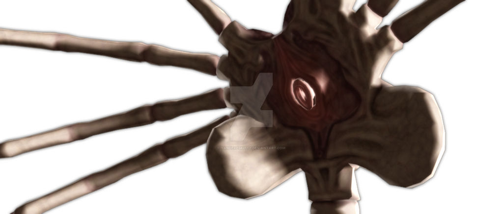 Rigging The Face Hugger part 2 by YandereSkitty on DeviantArt