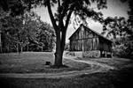 Barn, Central Lake, Michigan by richardwhisner