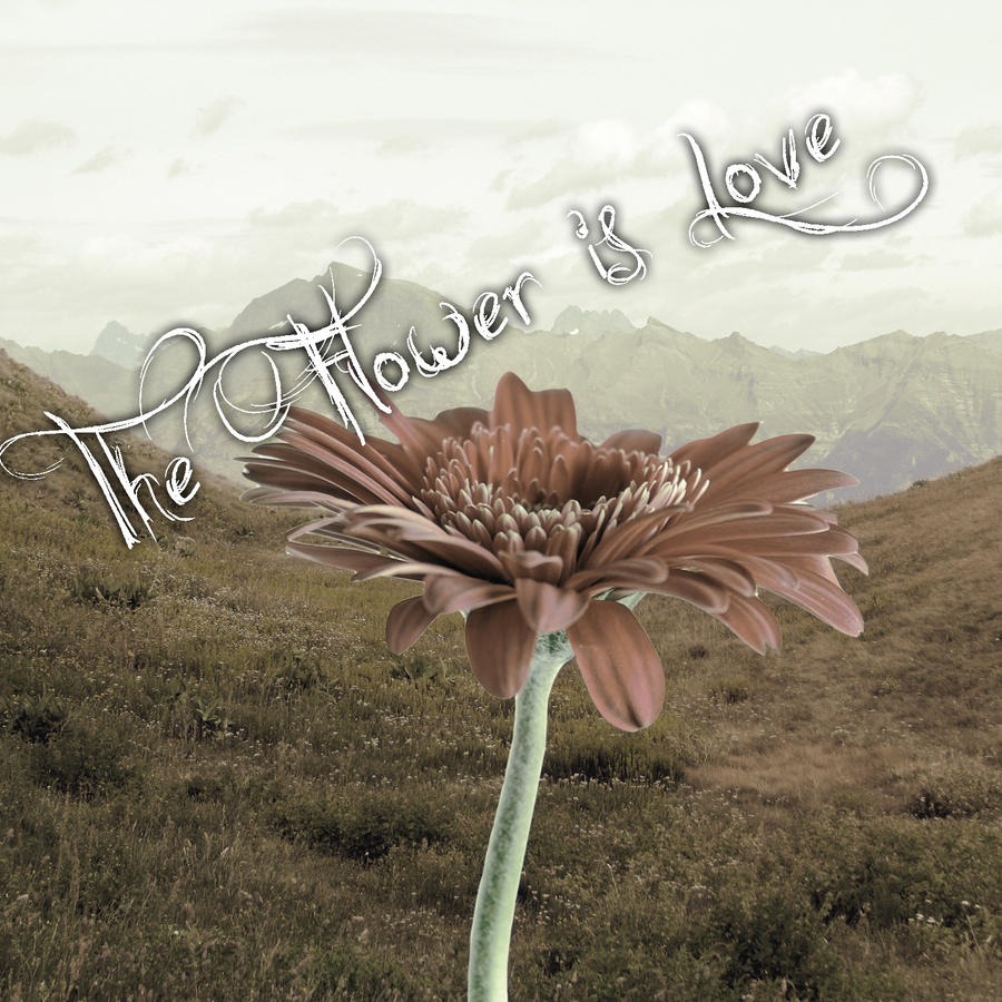 The Flower is Love Cover