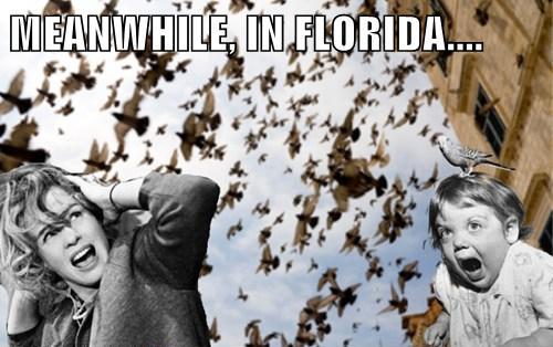 Meanwhile, in Florida....