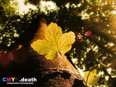 total immortal by cyanXdeath on DeviantArt