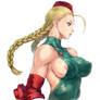 Perfect Cammy White