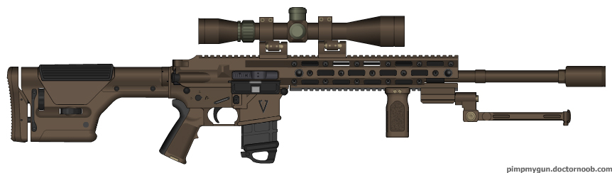 AR15 DMR custom