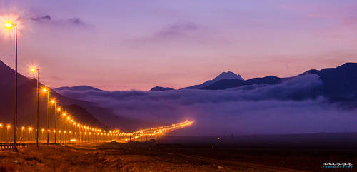 Fog on road