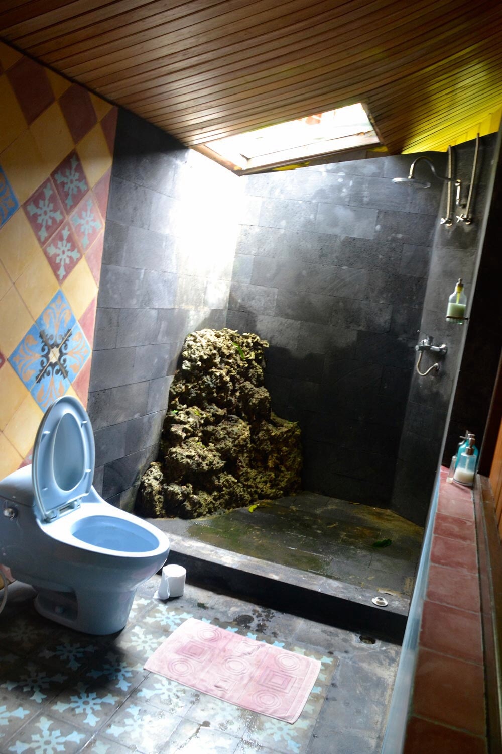 World's coolest bathroom