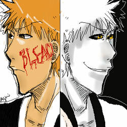 Bleach - Mirror