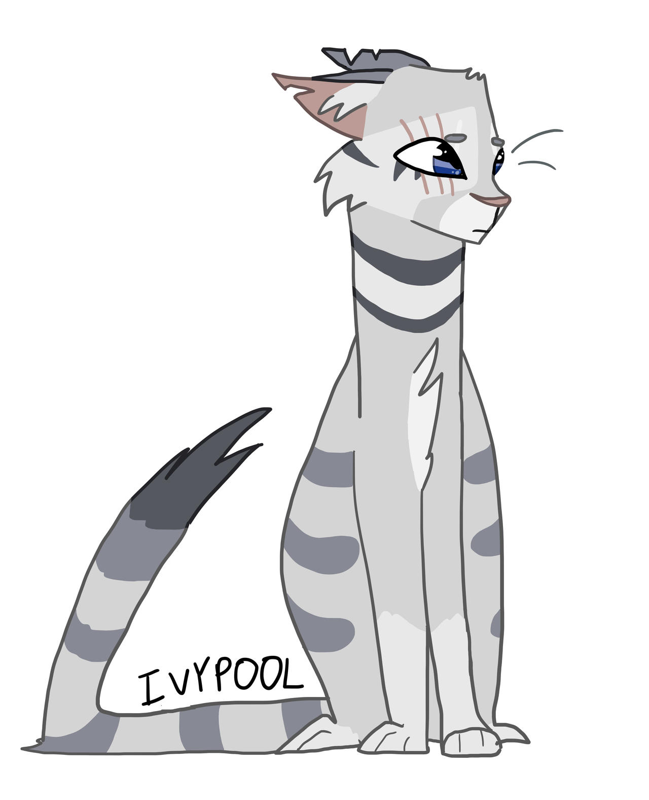 Ivypool Design Ivypool - Warriors by RainDrawsThings01 on DeviantArt