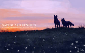 Safeguard Kennels