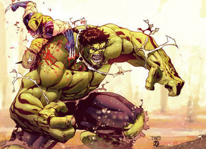 Hulk Vs Wolverine By Bdstevens-d3gzysb-2