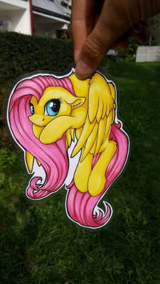 Paper Pony - Fluttershy